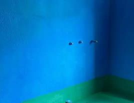 蔡甸卫生间测漏水多少钱